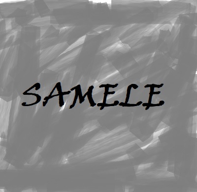 SAMELE - SP2s思博瑞